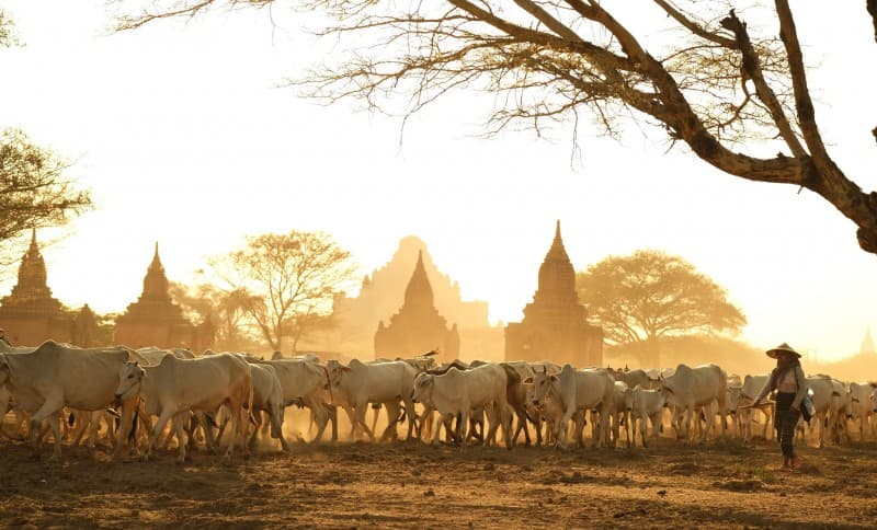 8-DAY Myanmar Discovery Tour 