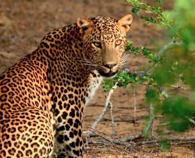 SRI LANKA LUXURY GOLF TOUR