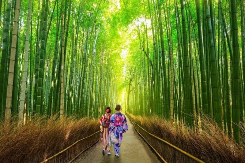 8 DAYS SPLENDOURS OF JAPAN