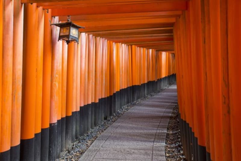Japan In-depth Cherry Blossom Tour