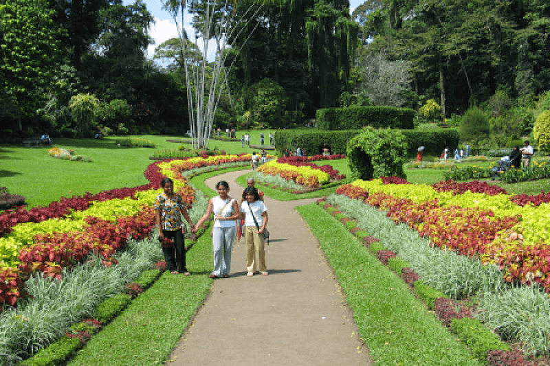 14-DAY SRI LANKA DISCOVERY TOUR