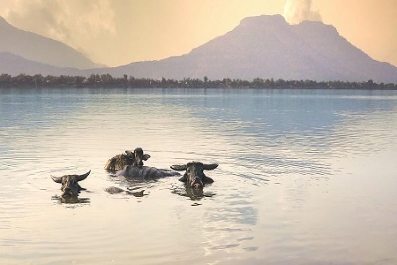 Thailand and Laos Discovery Tour