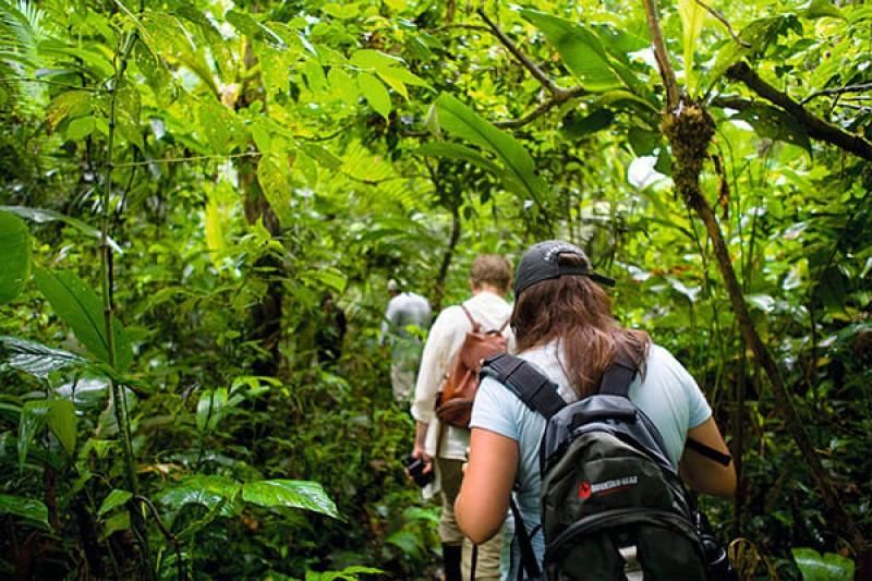 BORNEO WILDERNESS AND WILDLIFE SCHOOL TOUR