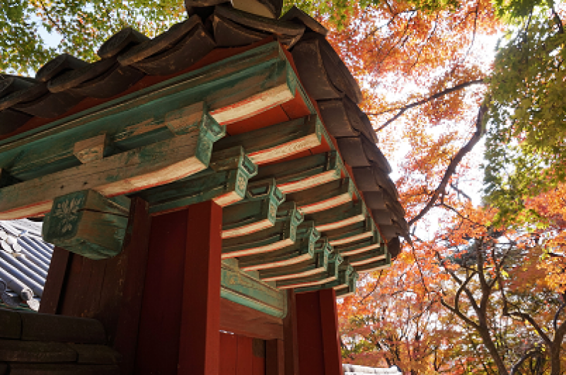 Best of South Korea Tours