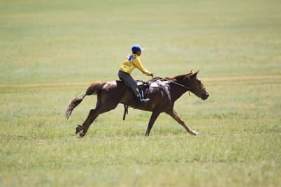 Danshig Naadam & Along the Exotic Route of Mongolia