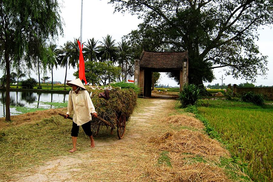 THE NORTH OF VIETNAM DISCOVERY TOUR