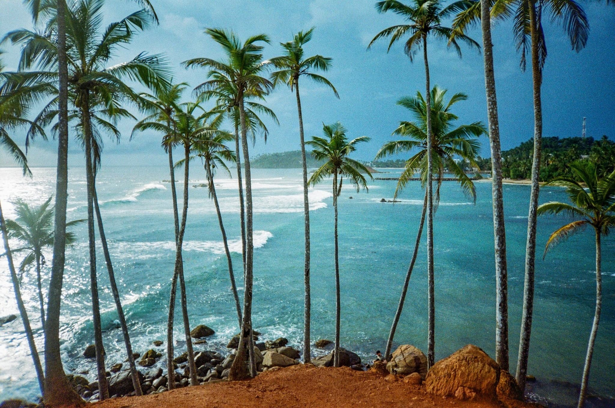 Witness Stilt Fishing In Sri Lanka: An Eco-Tourism Experience