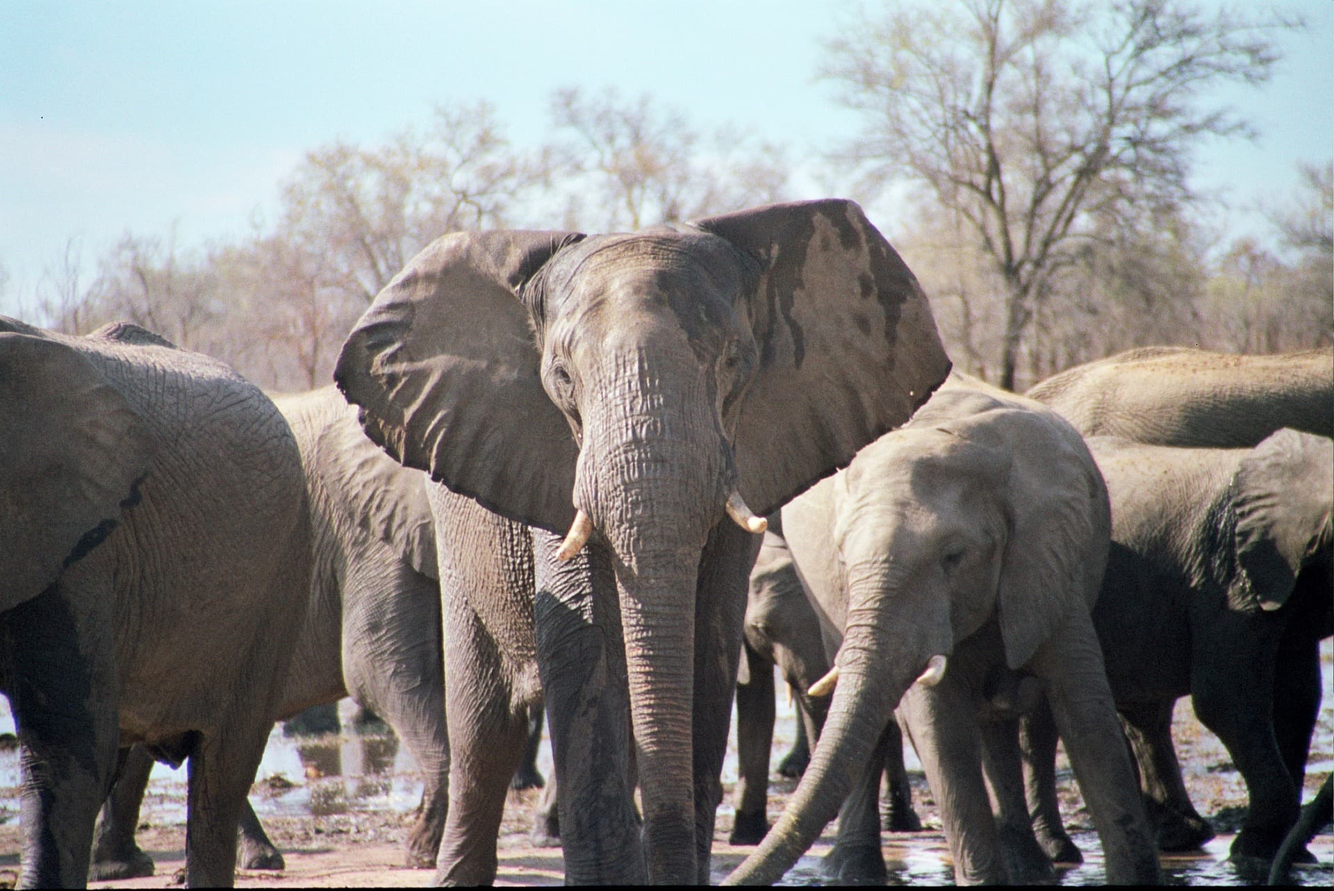 Zimbabwe tours