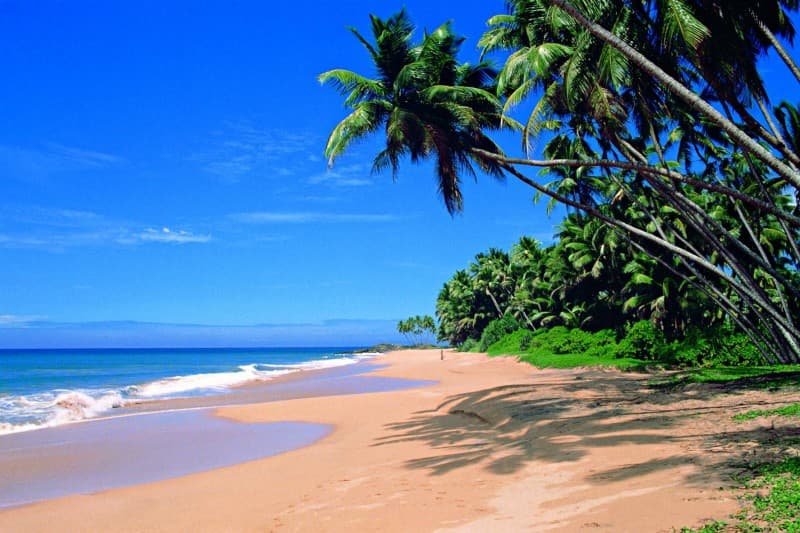 SRI LANKA LUXURY HONEYMOON TOUR