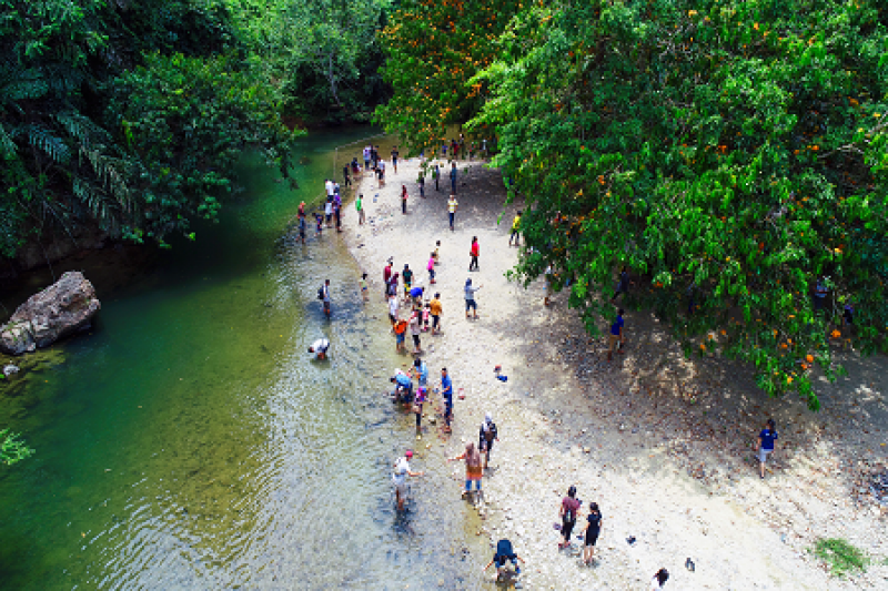 BORNEO DISCOVERY Escorted Tour