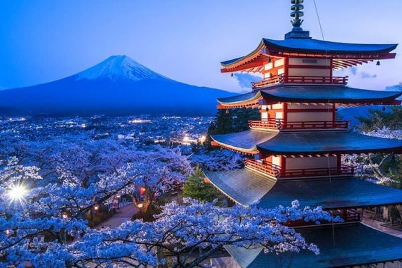 Japan & South Korea Cherry Blossom Small Group Tour