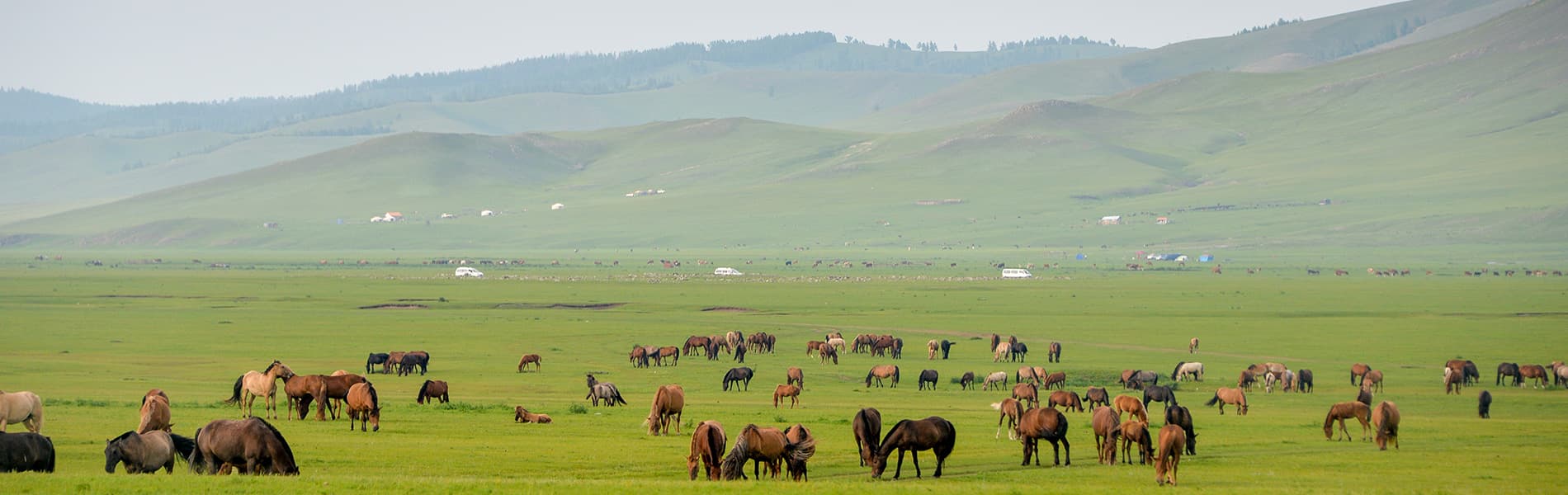 Western Mongolia Adventures & Golden Eagle Festival
