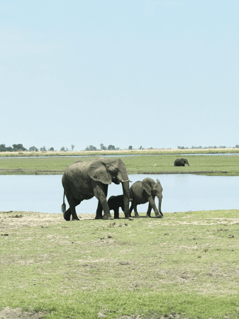 Chobe National Park