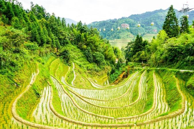 Rice Terraces in Guilin