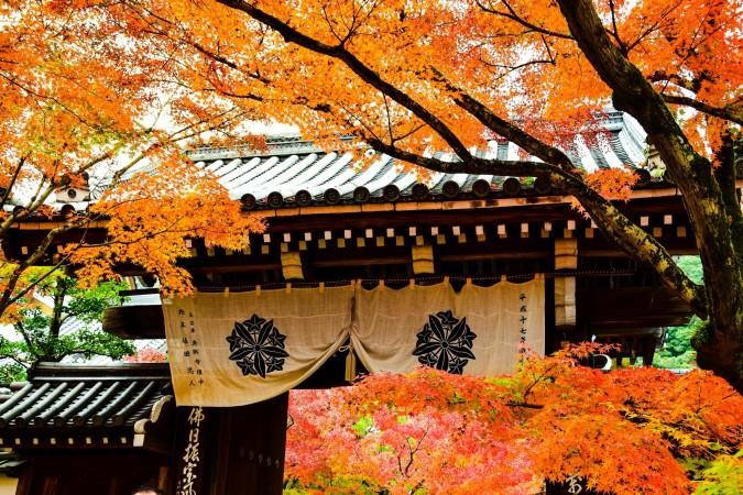 Autumn in Kyoto