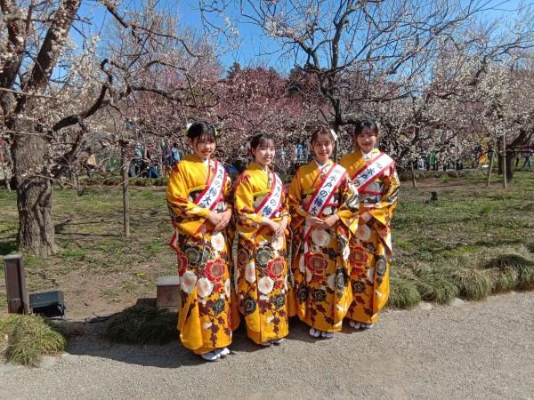 Kimono lady at Mito Plum Blossom Festival