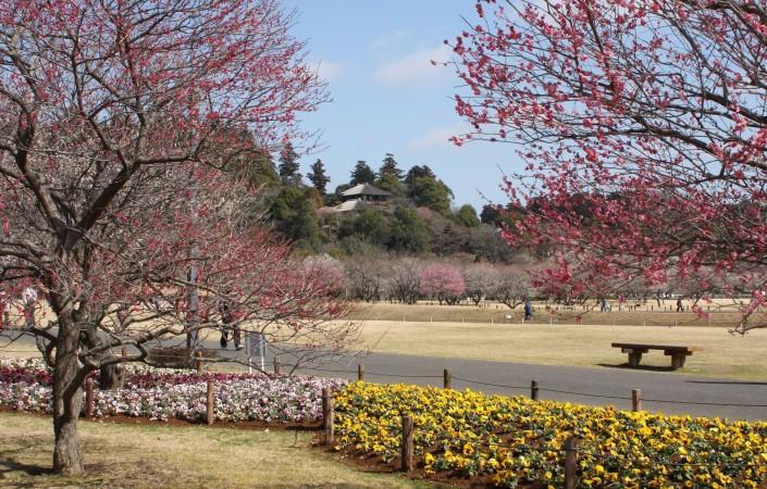 Explore Mito - Japan Travel, Asia