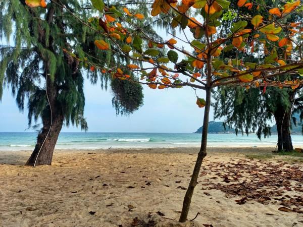 Plan Your Coastal Retreat With 8 Best Beaches In Nha Trang