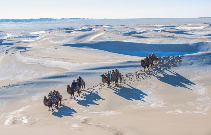Camel Tour in Gobi Desert - © Photos Mongolia