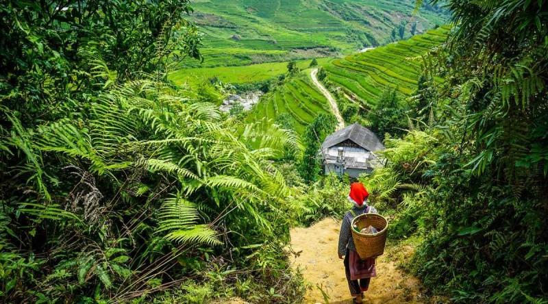 Trekking in Sapa - © Phuotvivu
