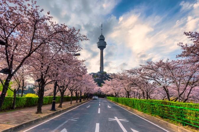 Daegu Tower