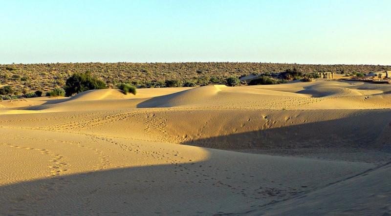 Desert National Park - © gather