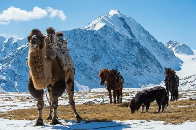 Altai Tavan Bogd National Park