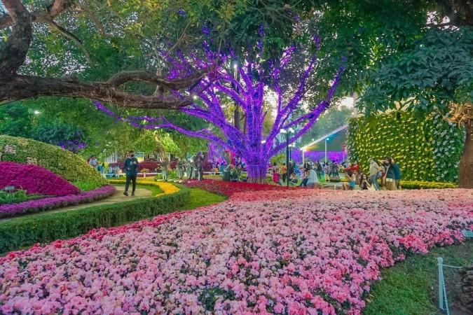 Chiang Rai Flower Festival - © Richard Barrow