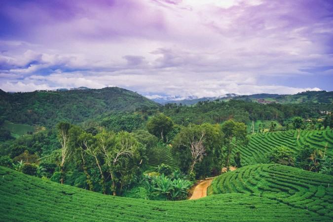 A clear day to trek in Chiang Rai - © Nopparuj Lamaikul