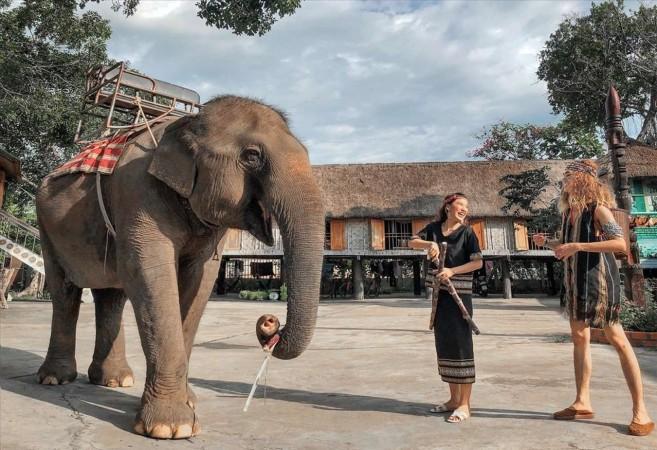 Elephant Riding in Don Village