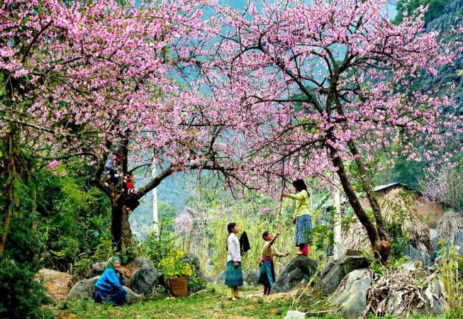 Spring in Dien Bien - © ToQuoc