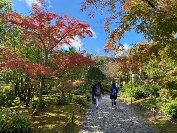 Walking tours around Koko-en Garden - © Anni W