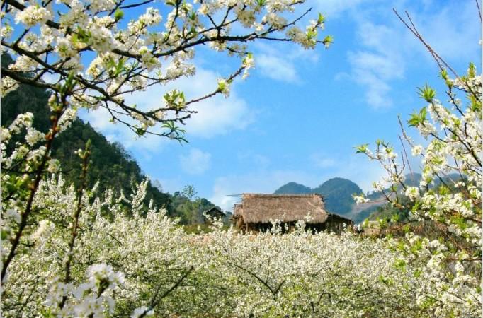 Spring in Lai Chau - © Vietnam Tourism