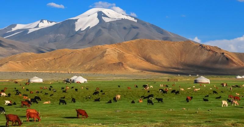 Govi-Altai Mountains - © Mongolia Tourism