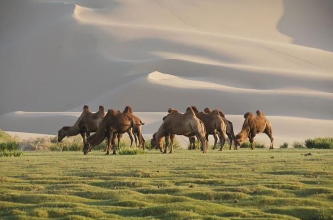 Mandalgovi's natural beauty - © Britannica