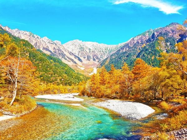 Autumn Foliage Tours in Nagano