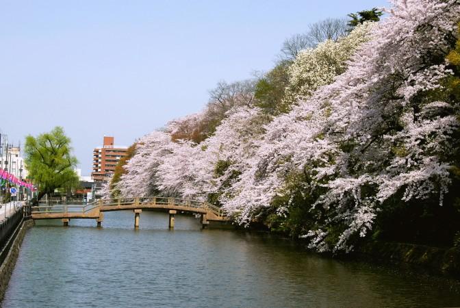 Takaoka-Shi, Tomaya Prefecture, Japan - © Tomaya Tourism