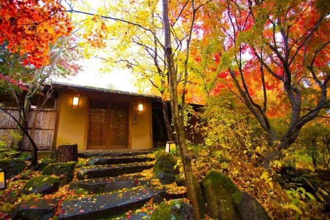 Autumn in Tateshina
