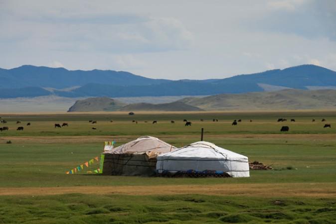 Ger camping in Tsetserleg - © Flickr
