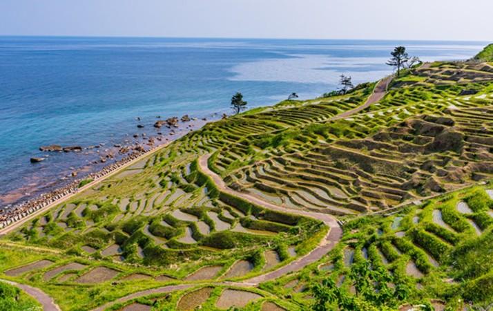 Senmaida Rice Terraces - © Japan National Tourism