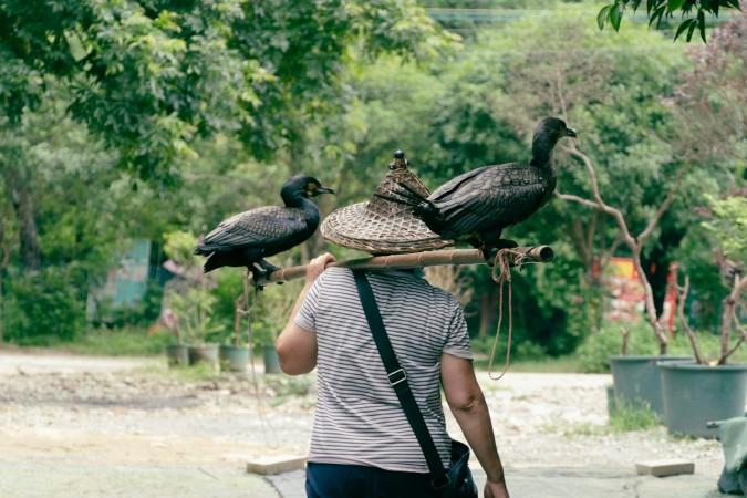 Explore Yangshuo - China Travel, Asia
