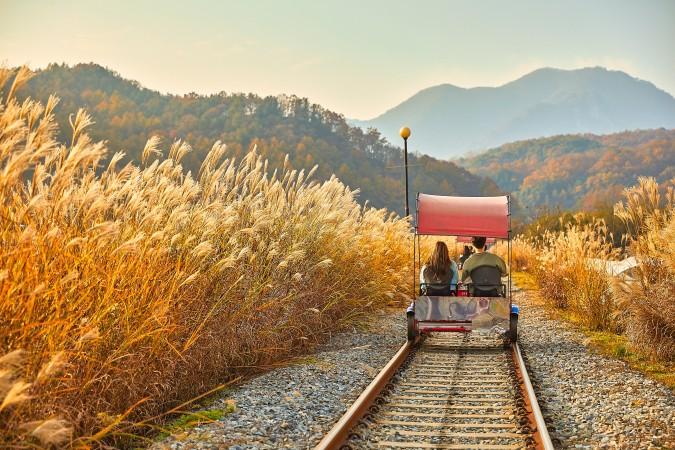 Gangchon Rail Park - © gather