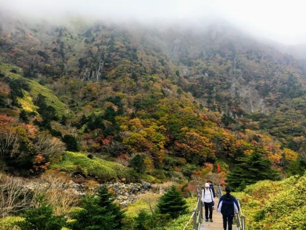 Hiking Hallasan Mountain