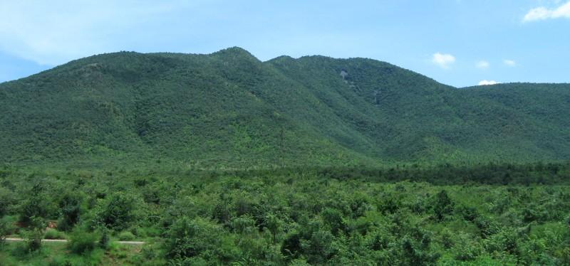 Koundinya Wildlife Sanctuary