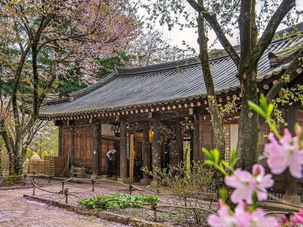 Nami Island, Chuncheon - © gather