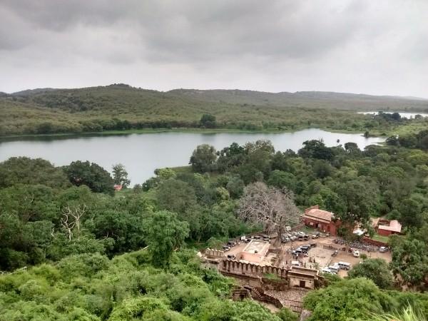 Ranthambore lake - © gather
