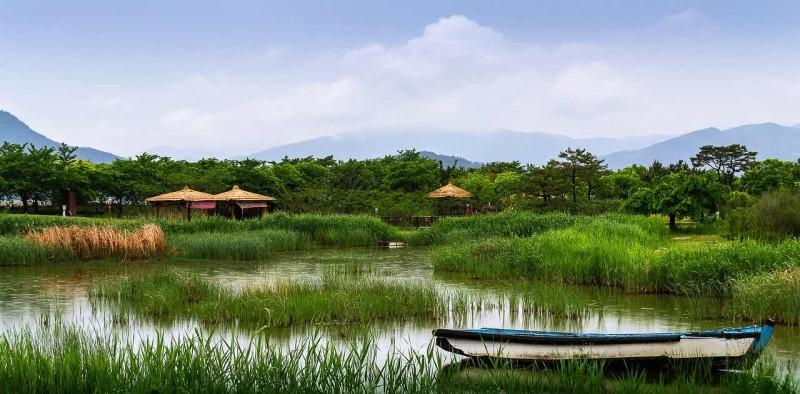 Suncheon Bay Reed