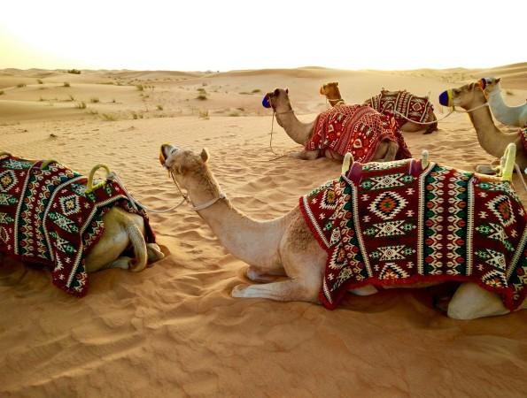 Explore Dubai - United Arab Emirates (UAE) Travel, Asia