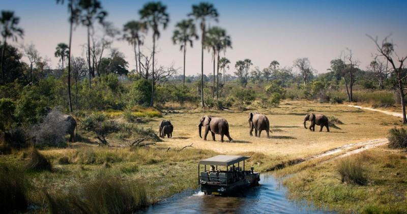 Chobe National Park - © Chobe National Park Official