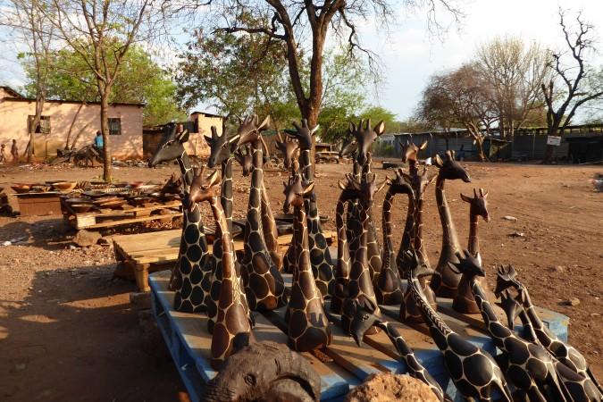 Explore Kasane - Botswana Travel, Africa